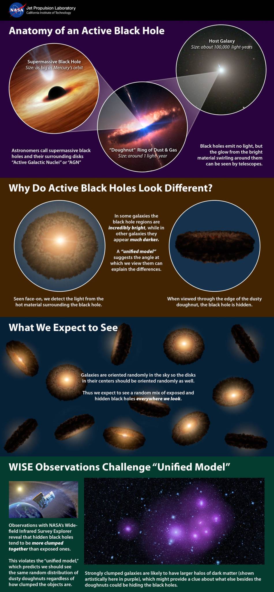 Theory of active, Black Holes infographic