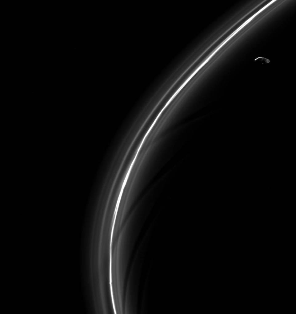 Ring Slicer