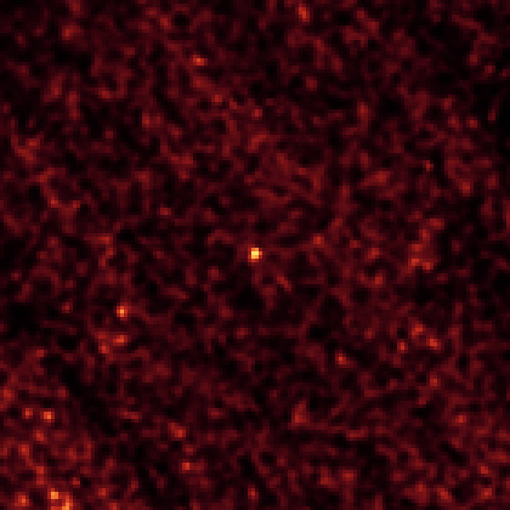 Asteroid 2011 MD 
