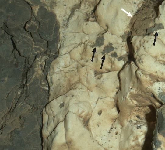 Night Close-up of Mineral Veins at ‘Garden City,’ Mars