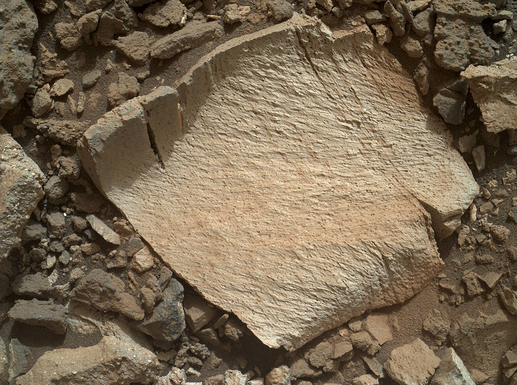 A rock fragment dubbed "Lamoose