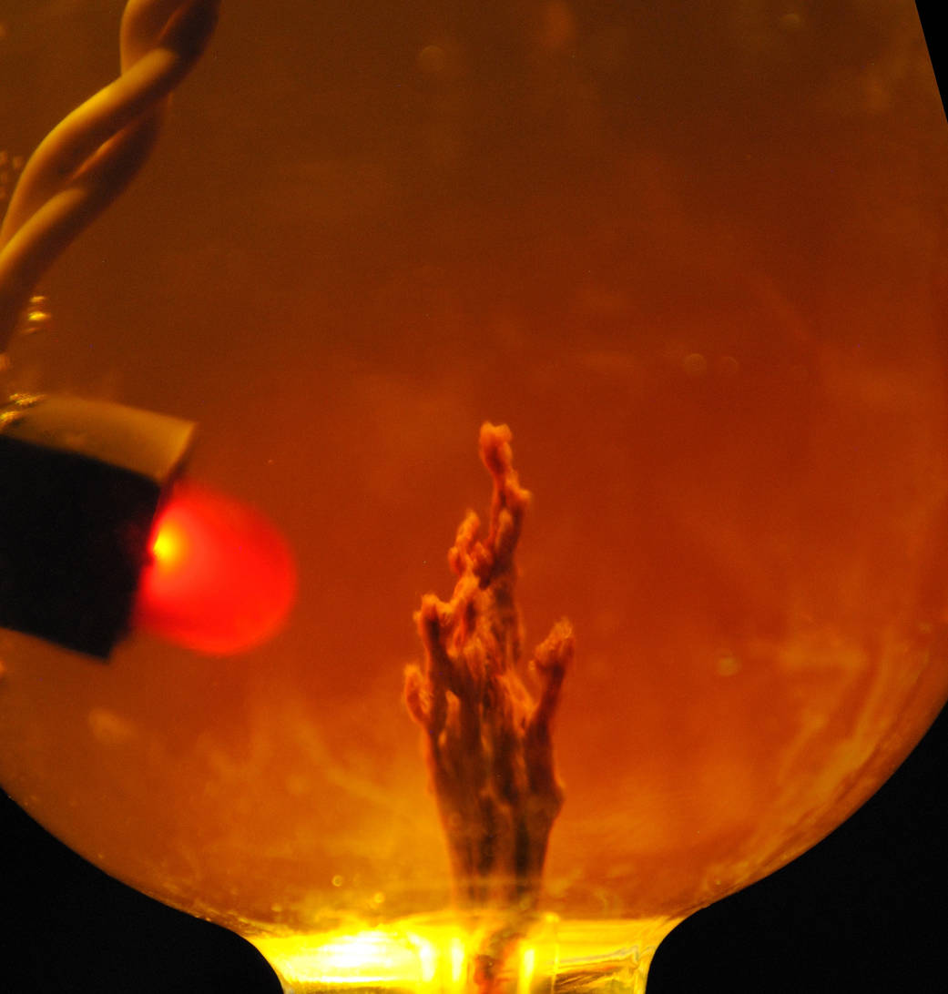 This photo simulation shows a laboratory-created "chemical garden"