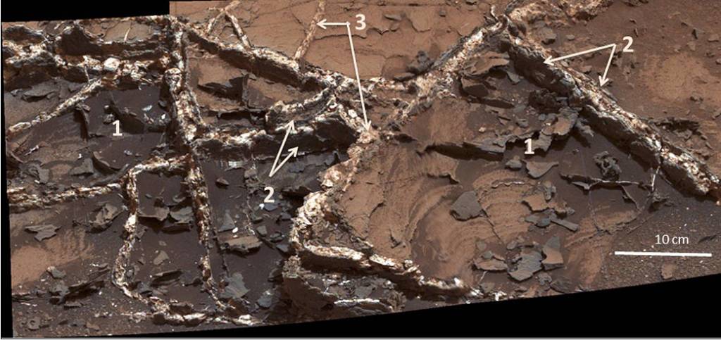 ‘Garden City’ Vein Complex on Lower Mount Sharp, Mars