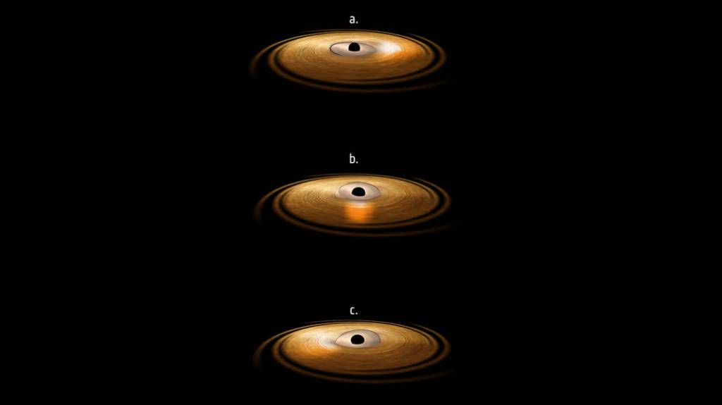 Black Hole with ‘Wobbling’ Disk