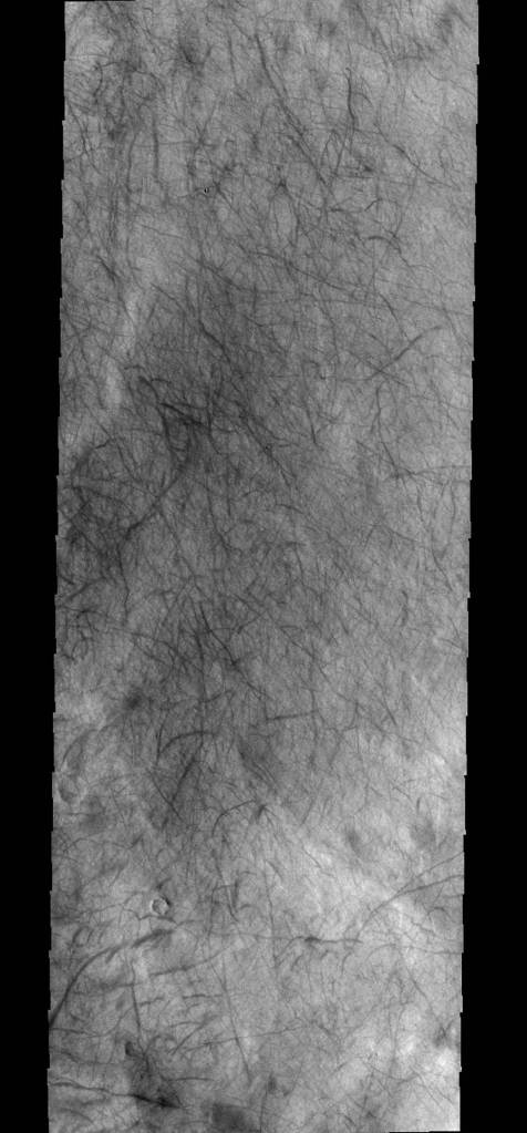 Dust Devil Tracks