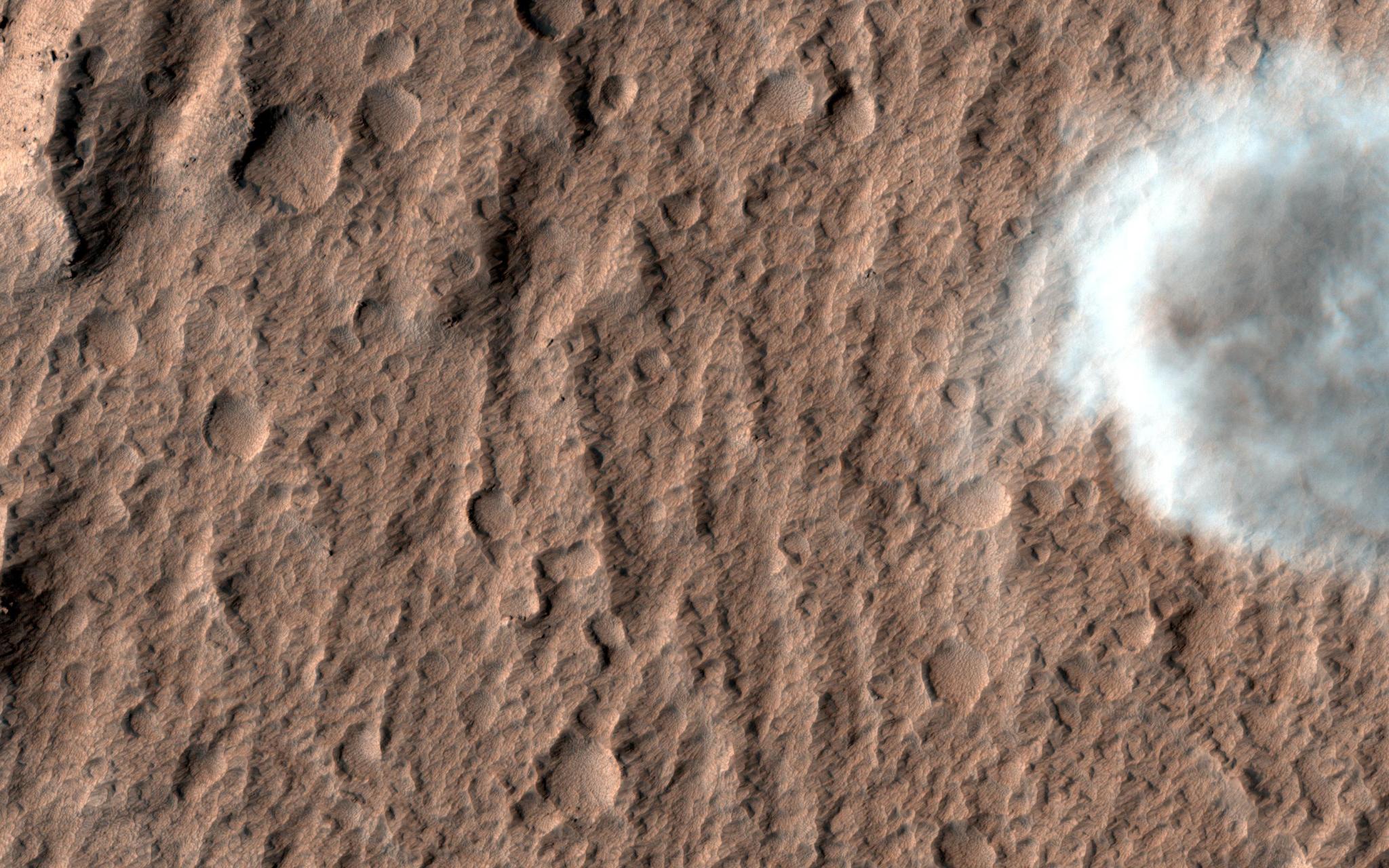 dust devil plume