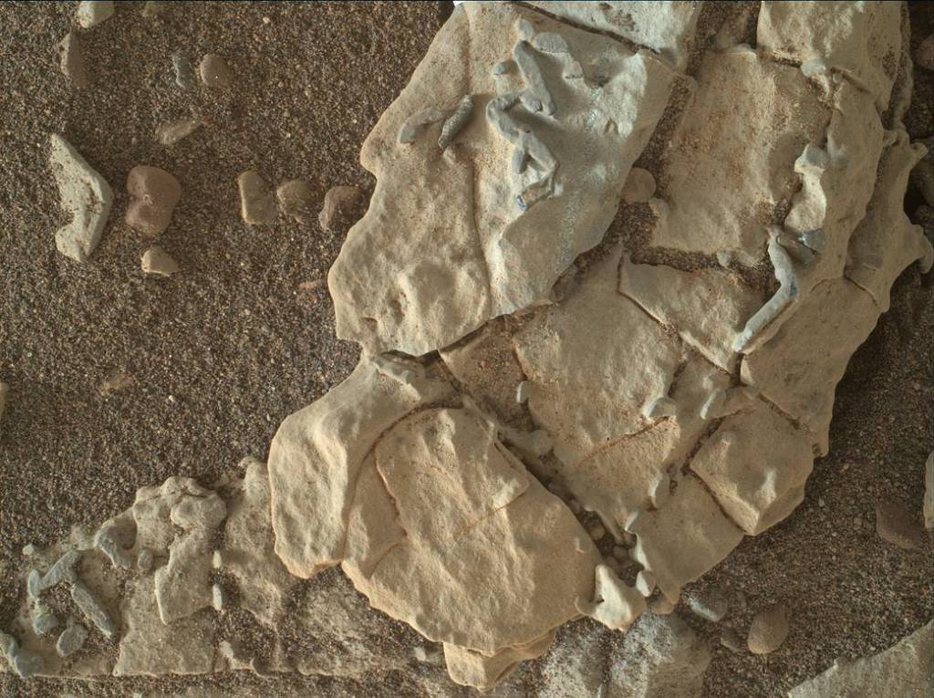 Stick-Shape, Rice-Size Features on Martian Rock ‘Haroldswick’