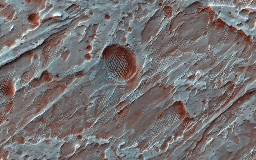 Fans of Roddy Crater