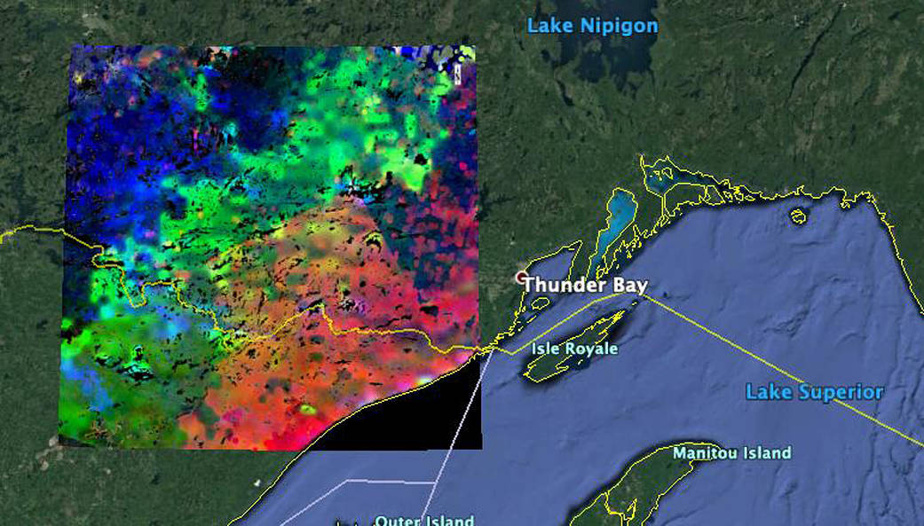 The image shows plants "waking up" near Lake Superior