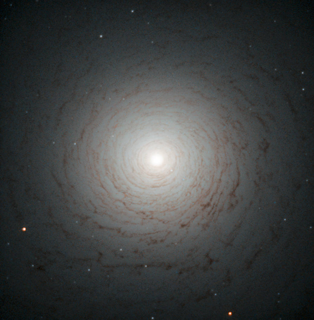 thin lines of lace-like dark filaments spiral many times around a distant pale white blur