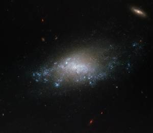 Spiral galaxy NGC 3274