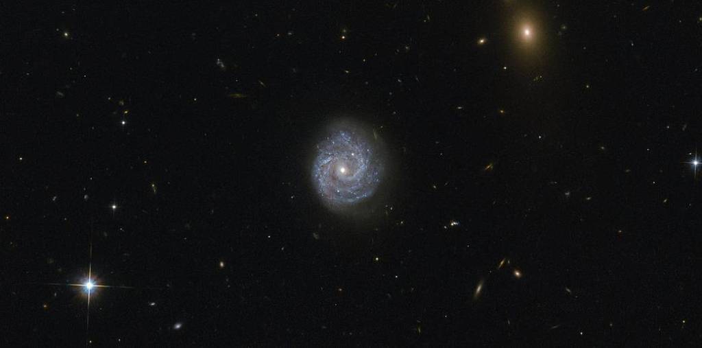 small spiral galaxy in a field of stars and galaxies