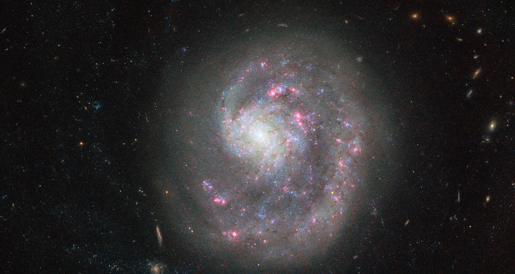 beautiful full disc spiral galaxy with pink and blue swirls