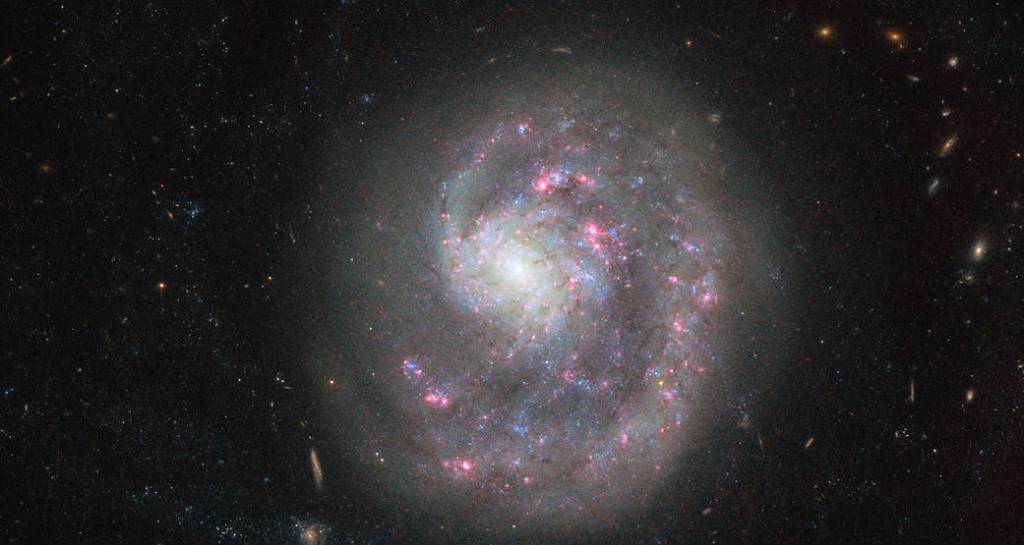 beautiful full disc spiral galaxy with pink and blue swirls