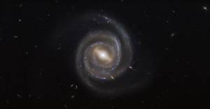 pretty spiral galaxy
