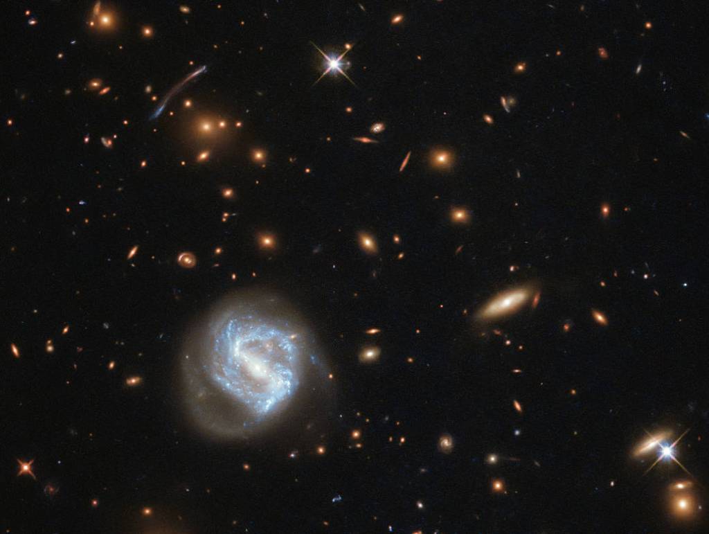 larger blue-white galaxy in a field of background orange galaxies