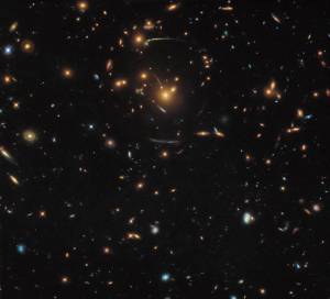field of galaxies