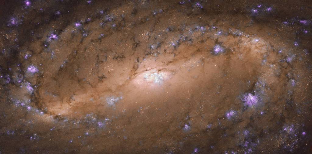 Hubble image of NGC 2903