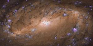 Hubble image of NGC 2903