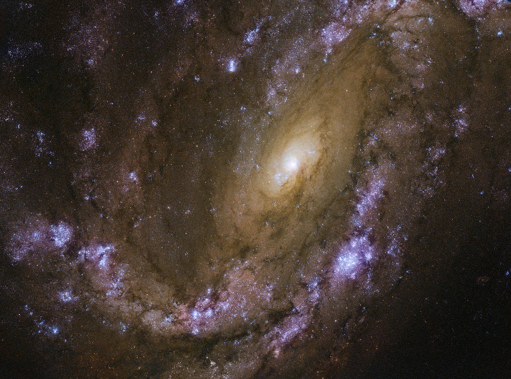 Hubble image of NGC 4501