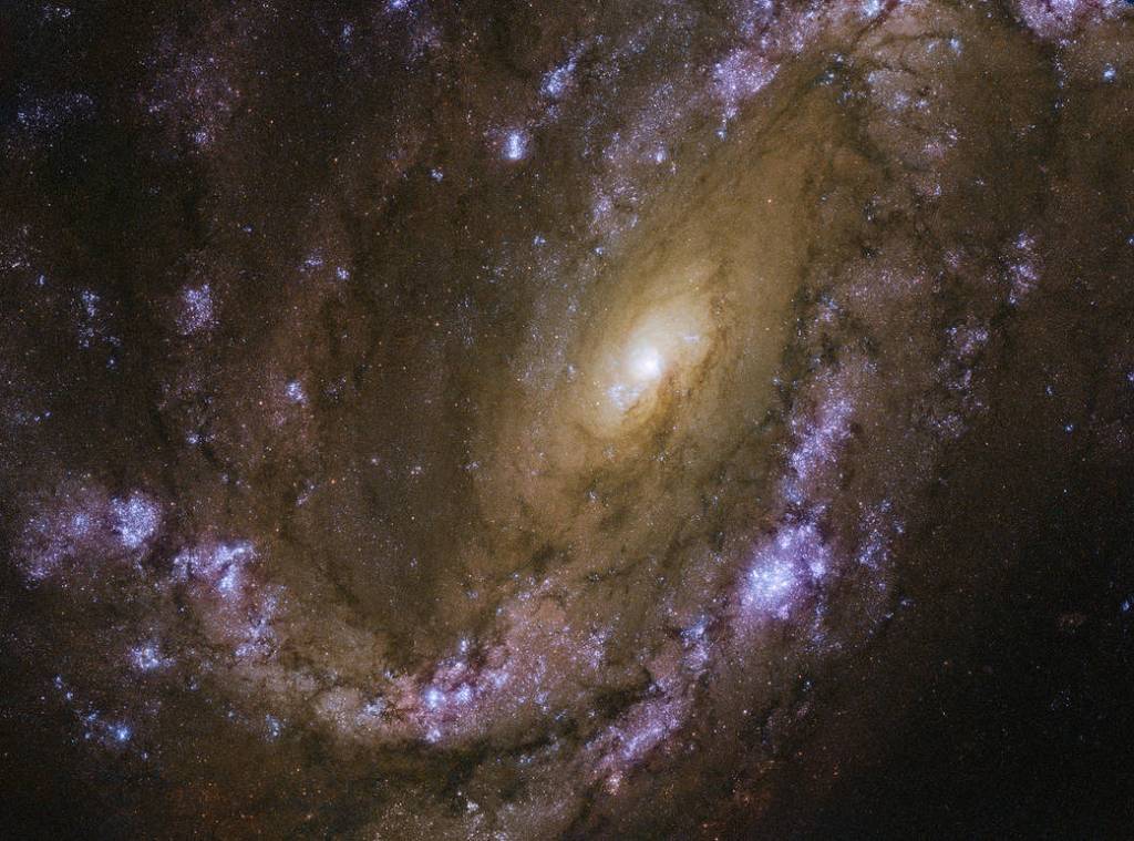 Hubble image of NGC 4501