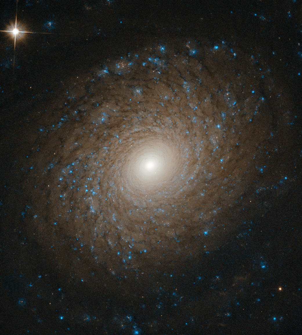 Hubble image of spiral galaxy NGC 2985