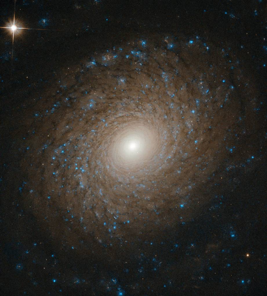 Hubble image of spiral galaxy NGC 2985