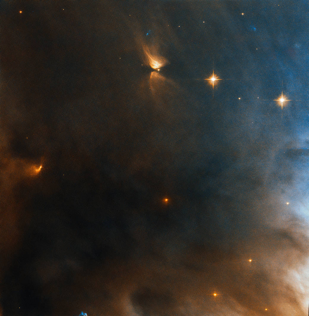 Hubble image of NGC 1333