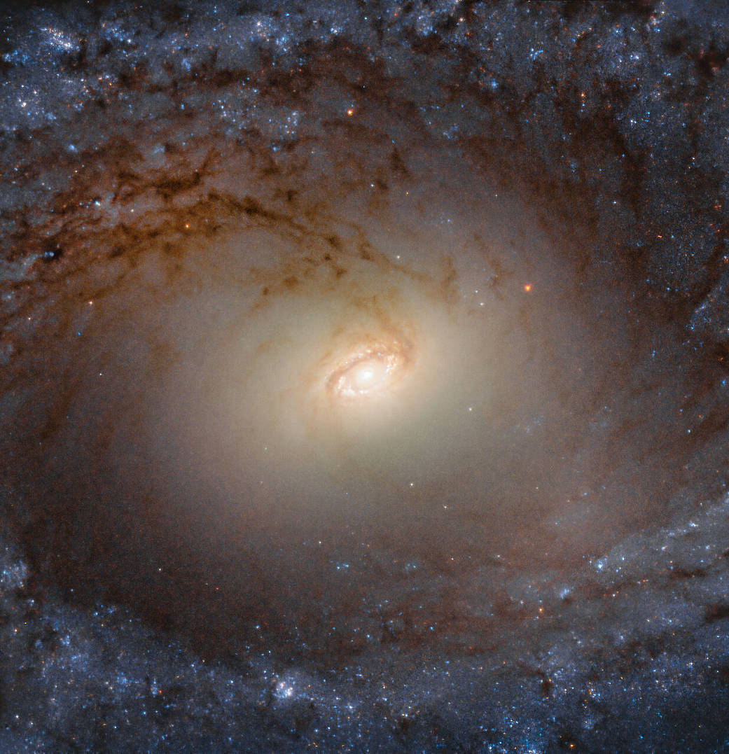 Hubble image of galaxy IC 2051