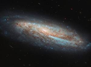 bright spiral of stars (galaxy NGC 7541)