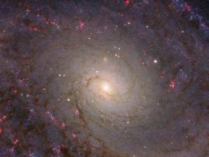 spiral galaxy NGC 5364