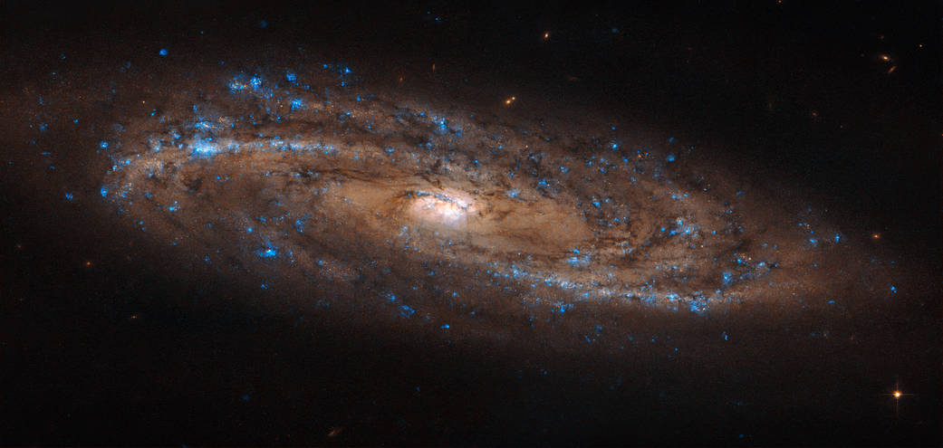 spiral galaxy NGC 4100 as seen by Hubble