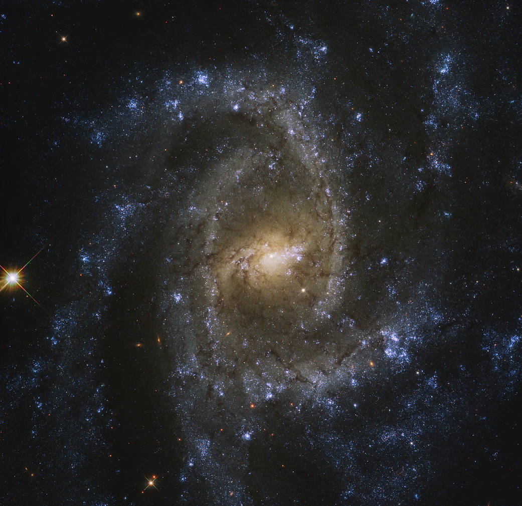 top-down view of NGC 2835 and its spiral arms, against the black backdrop of space