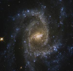 top-down view of NGC 2835 and its spiral arms, against the black backdrop of space