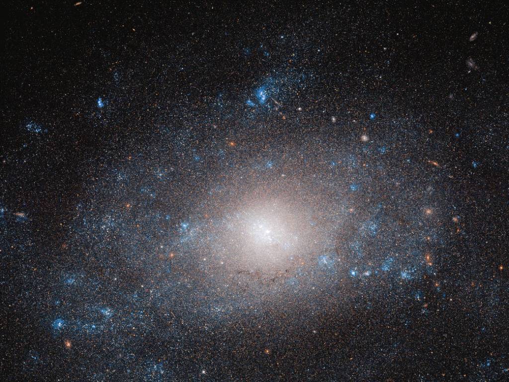 glowing center and spiral arms, flecked with blue-hued stars, of galaxy NGC 5585 against the black backdrop of space