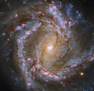 The luminous heart of the galaxy M61 dominates this image.