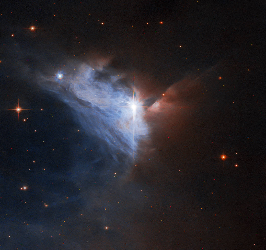 This Picture of the Week showcases the emission nebula NGC 2313. 