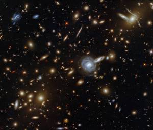 This packed image taken with the NASA/ESA Hubble Space Telescope showcases the galaxy cluster ACO S 295, as well as a jostling crowd of background galaxies and foreground stars.