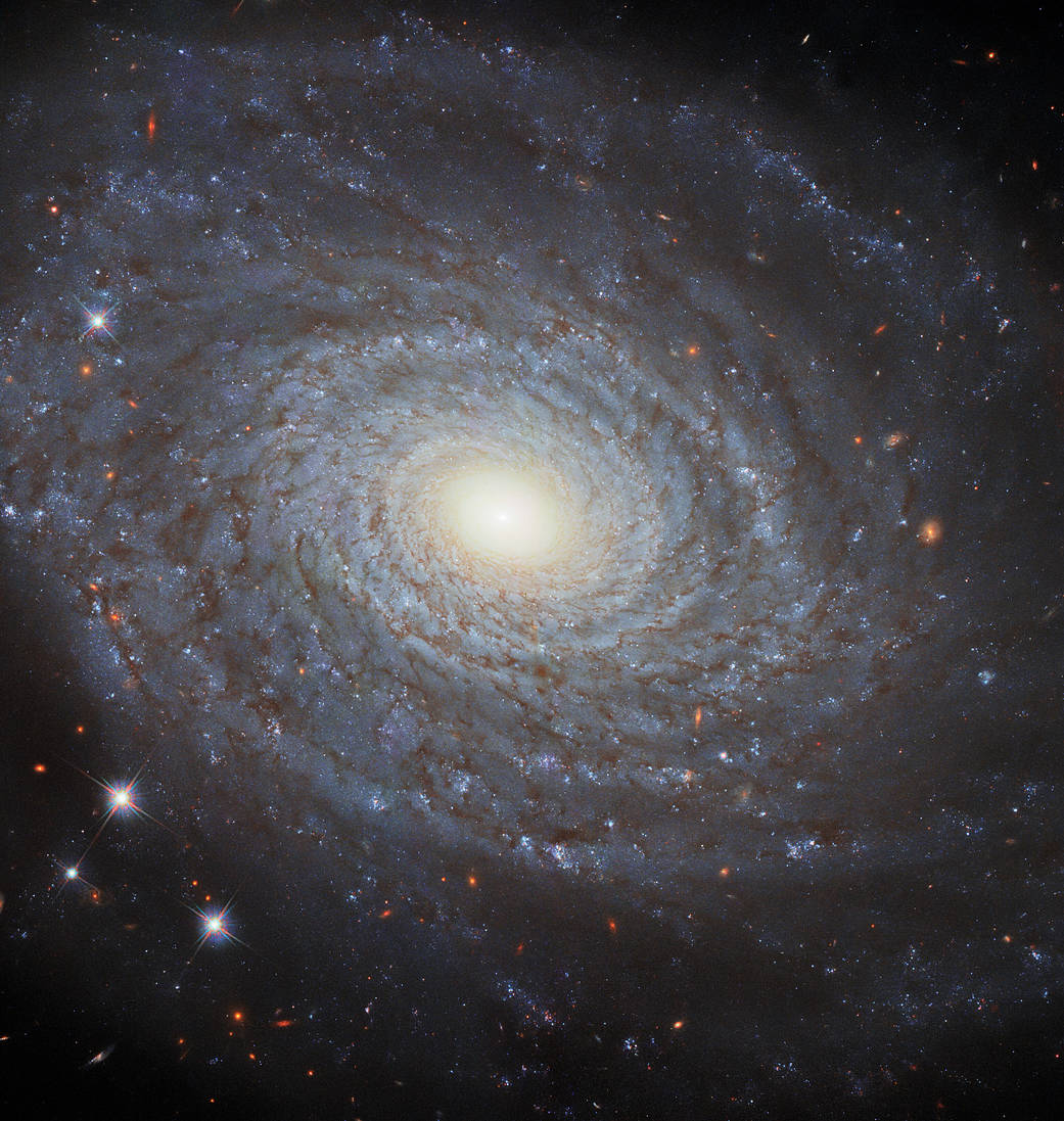 This image features the spiral galaxy NGC 691, imaged in fantastic detail by Hubble’s Wide Field Camera 3 (WFC3).