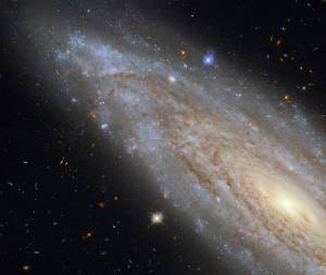 This image shows the spiral galaxy NGC 3254, observed using Hubble's Wide Field Camera 3 (WFC3).