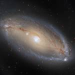 In this image, NCG 5728 appears to be an elegant, luminous, barred spiral galaxy. 