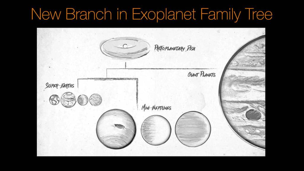 New Branch in Exoplanet Family Tree