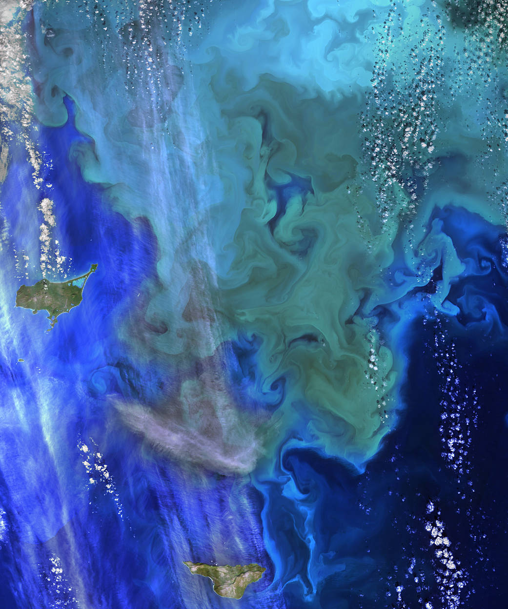 The Operational Land Imager (OLI) on Landsat 8 captured this view of a phytoplankton bloom near Alaska’s Pribilof Islands.