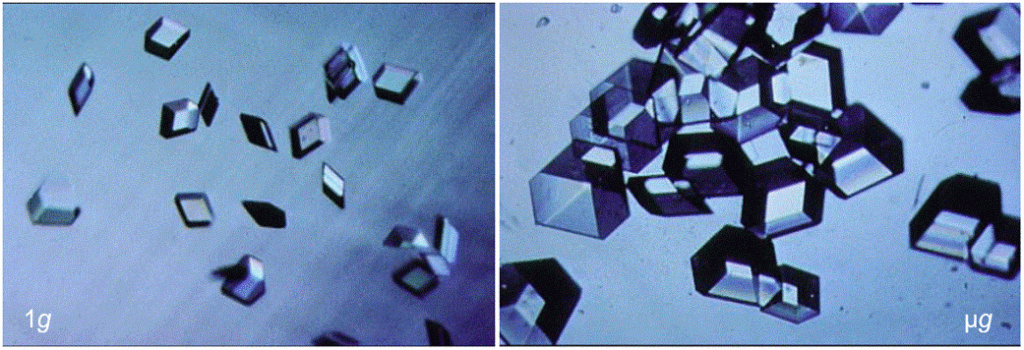 Protein Crystals – 1g vs Microgravity