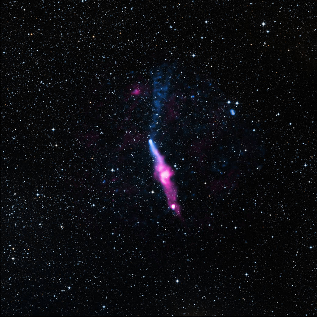 The pulsar PSR J1509-5850.