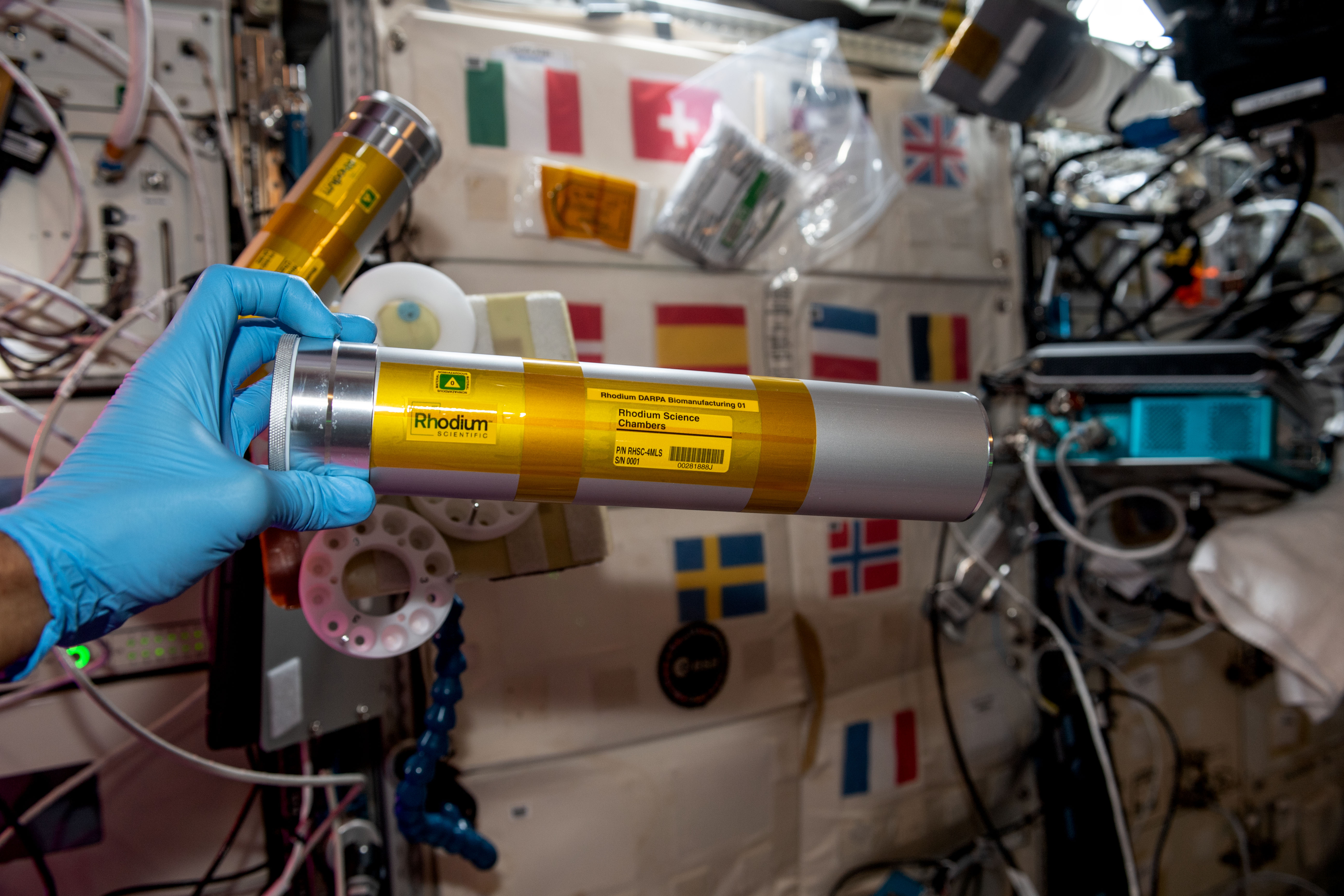 A crew member transfers a science chamber for Rhodium DARPA Biomanufacturing 01, an investigation sponsored by the ISS National Lab that examines gravity’s effect on production of drugs and nutrients from bacteria and yeast.