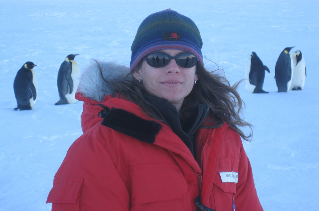 A scientist stands in front of ice and a parade of penguins