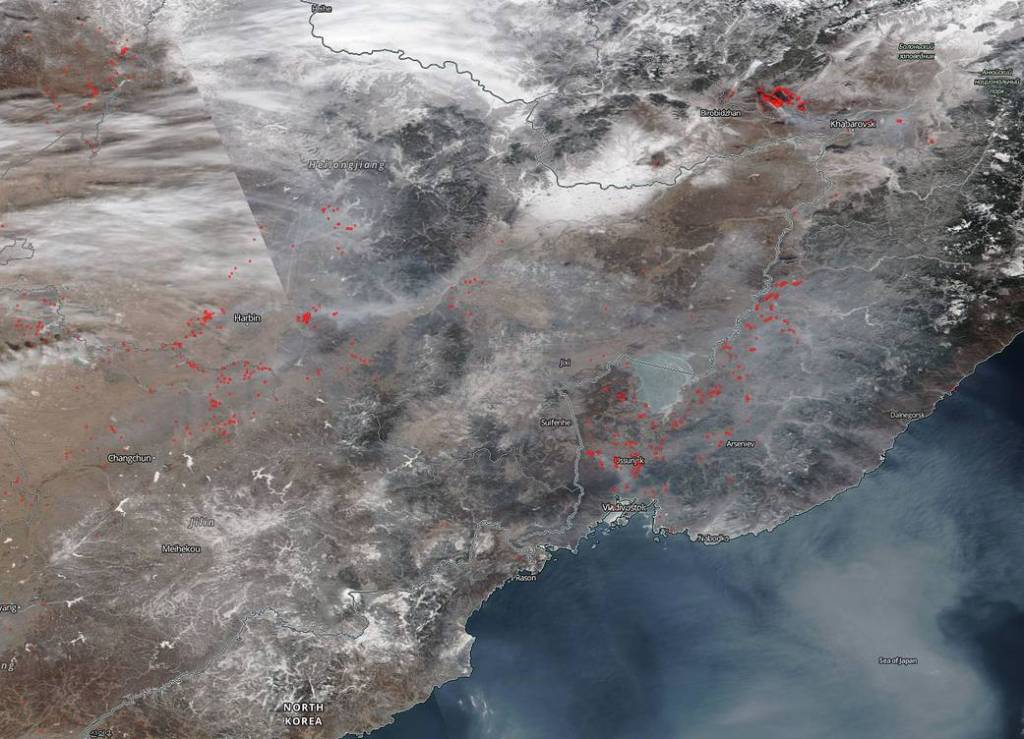 Wildfires in Russia Continue to Increase in Hotter, Drier Climate