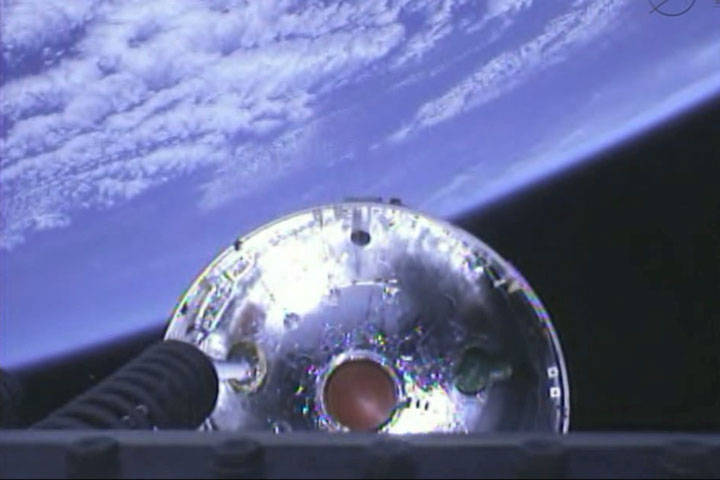 Cygnus Separates from Antares