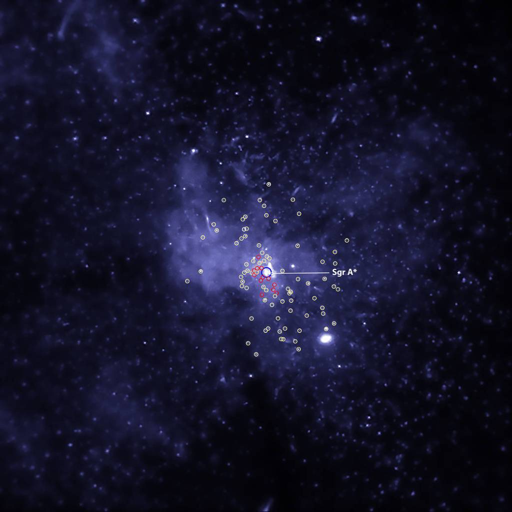 Black Hole Bounty Captured in the Milky Way Center
